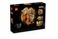 LEGO Pokemon 72160 Arcanine